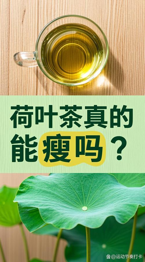 荷叶茶 清淡日常里的植物代用茶之选